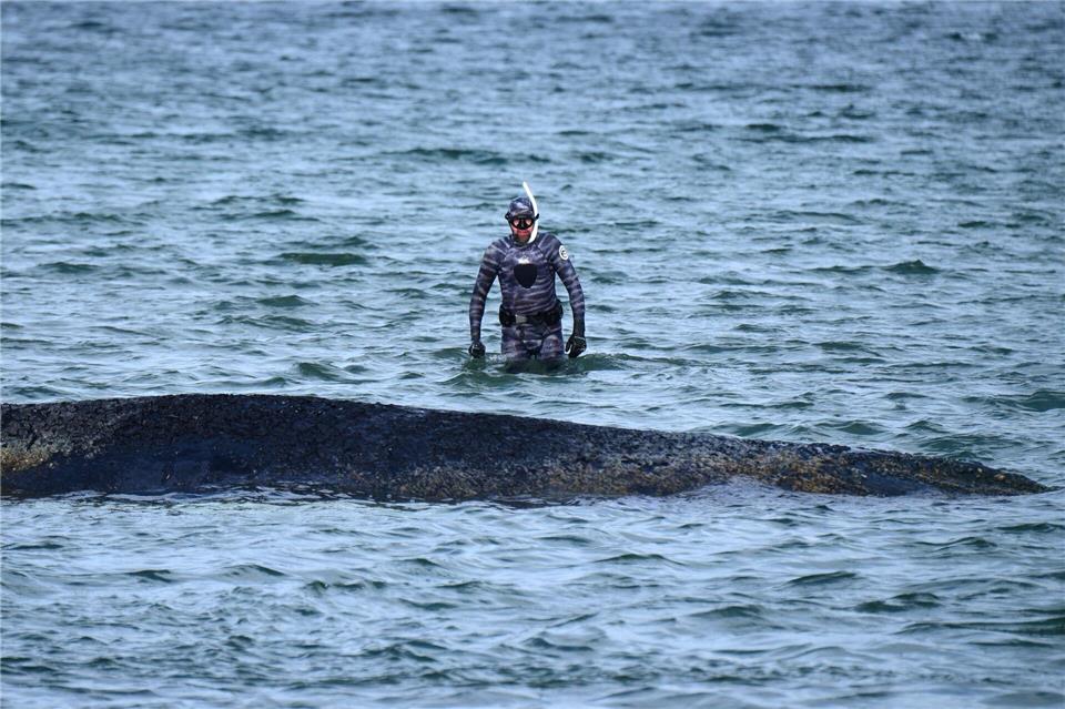Bei der Rettungsaktion vor Timmendorfer Strand hat Lehmann unterstützt. (Archivbild)Daniel Bockwoldt/dpa
