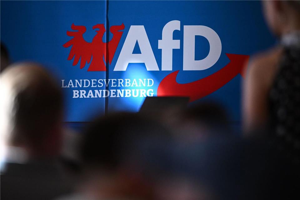 Bei der „Sonntagsfrage“ kommt die AfD auf 34 Prozent der Stimmen in Brandenburg. (Symbolbild) Britta Pedersen/dpa