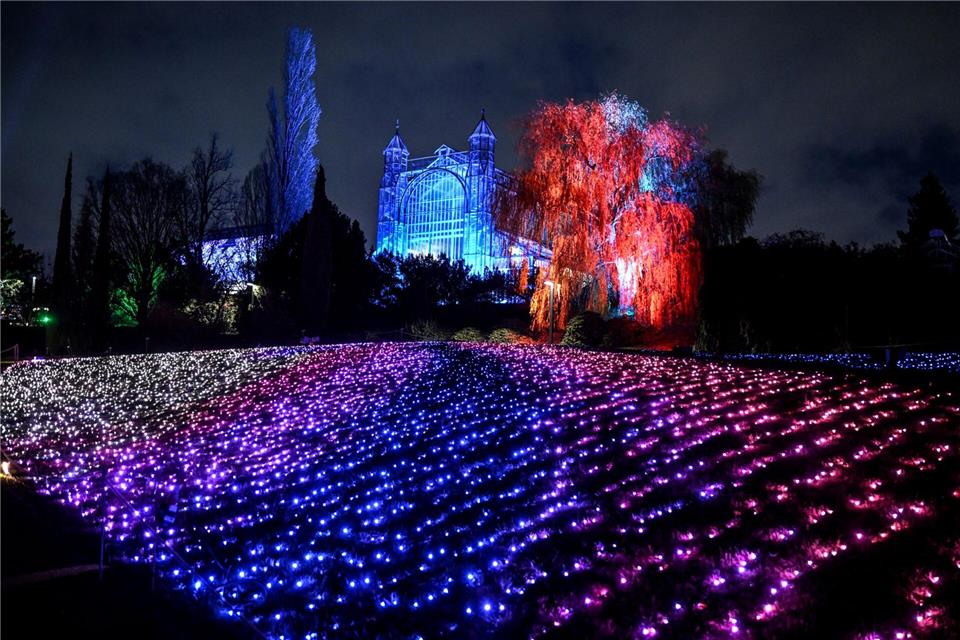 Bei der Weihnachtslichter-Attraktion „Christmas Garden“ im Botanischen Garten leuchtet es in bunten Farben. Britta Pedersen/dpa