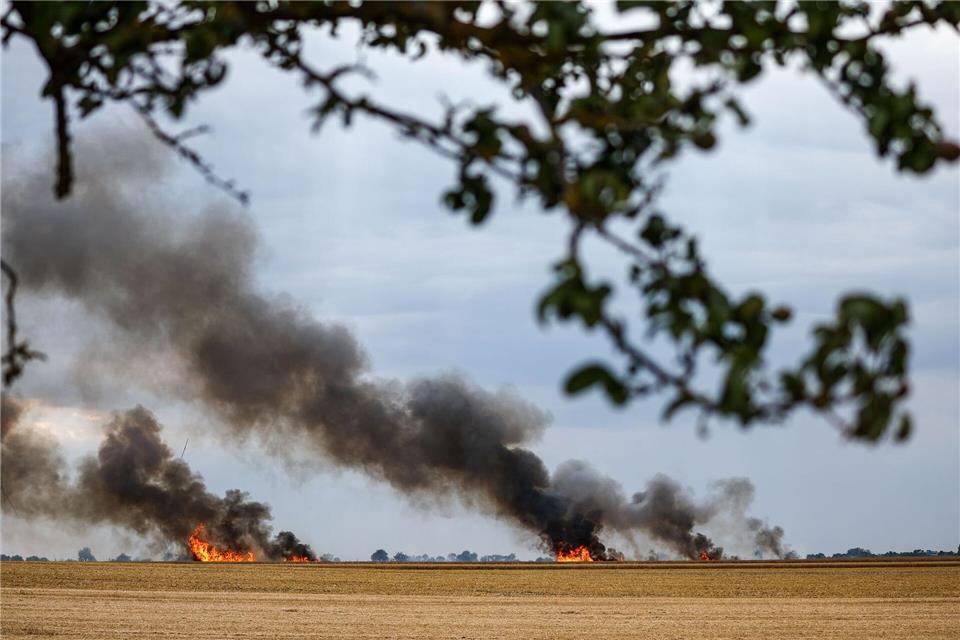 Bei einem Feldbrand im Kreis Unna sind sechs Menschen leicht verletzt worden. (Symbolbild)Jan Woitas/dpa