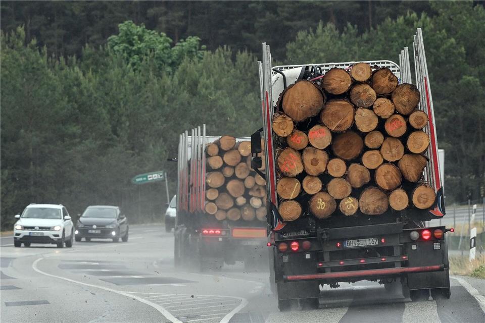 Bei einem Holztransporter brach eine Haltestange, sodass die geladenen Stämme auf die Fahrbahn fielen. (Symbolbild)Patrick Pleul/dpa-Zentralbild/dpa