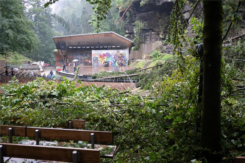 Bei einem Unwetter stürzten zahlreiche Bäume um. Sebastian Kahnert/dpa