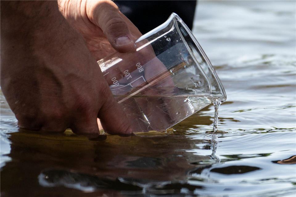 Bei einem offiziellen Termin wurden 50.000 Maifischlarven im Rhein ausgesetzt.Hannes P. Albert/dpa