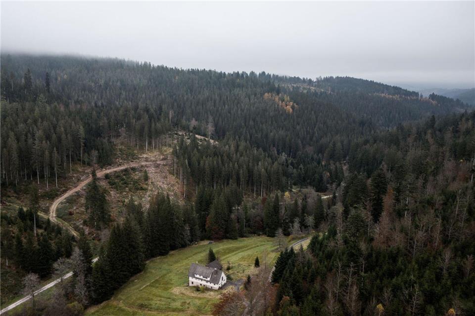 Bei einer Bürgerversammlung sprach die Landesumweltministerin über die Pläne. (Archivbild)Philipp von Ditfurth/dpa