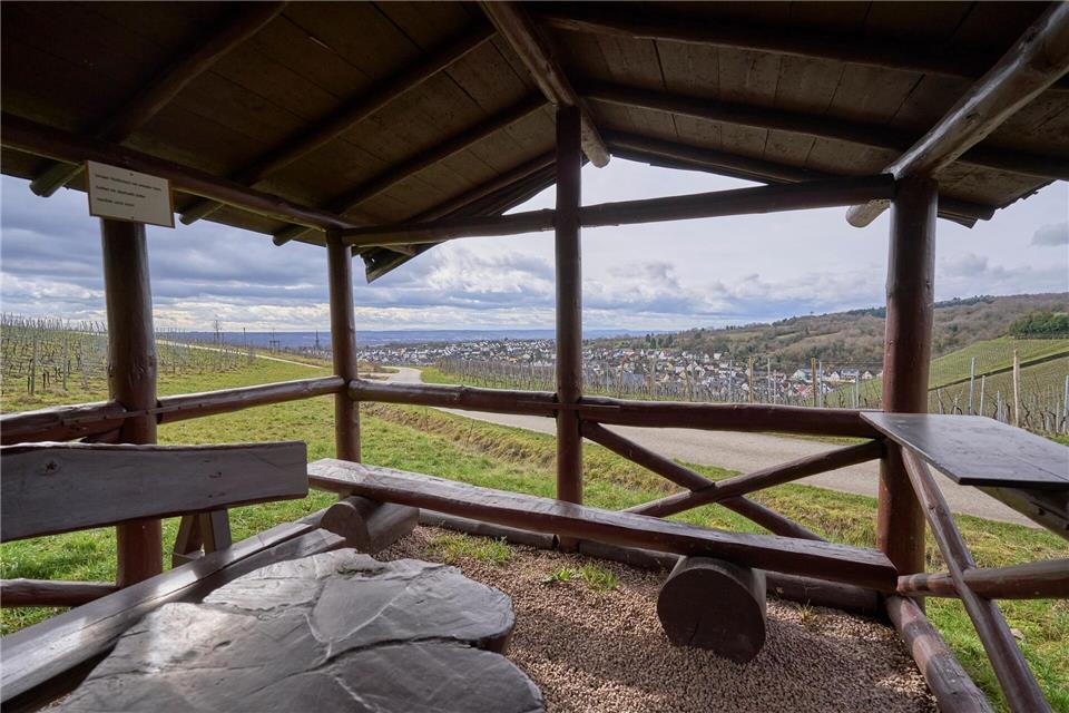 Bei einer Rast kann man im Rheingau den Blick schweifen lassen. Sascha Ditscher/dpa