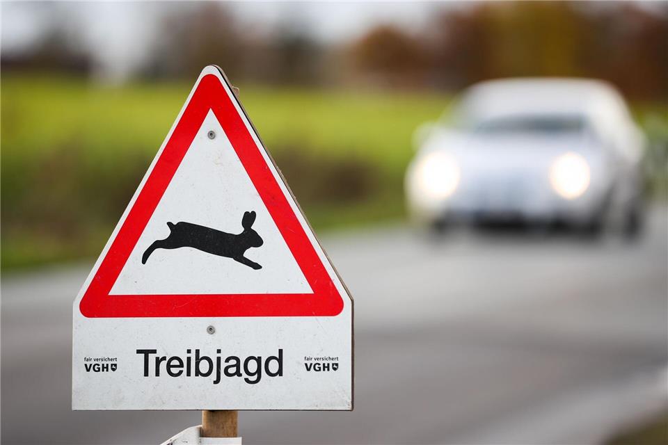 Bei einer Treibjagd im Landkreis Osnabrück wurde eine Leiche gefunden. (Symbolbild)Friso Gentsch/dpa