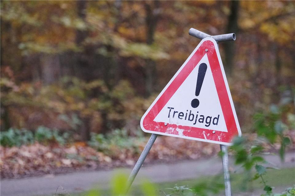 Bei einer Treibjagd sind zwei Spaziergänger durch Schrotkugeln leicht verletzt worden. (Symbolbild)Sebastian Willnow/dpa