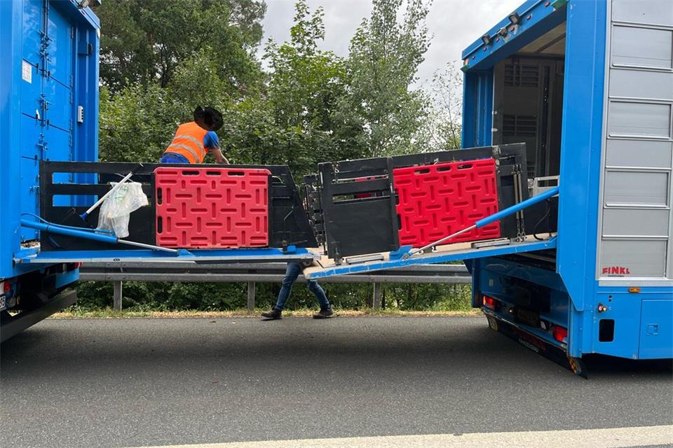Bei einer Weiterfahrt hätte Brandgefahr bestanden, weshalb die Tiere in ein Ersatzfahrzeug umgeladen werden mussten. (Handoutbild)-/Verkehrspolizei Bayreuth/dpa