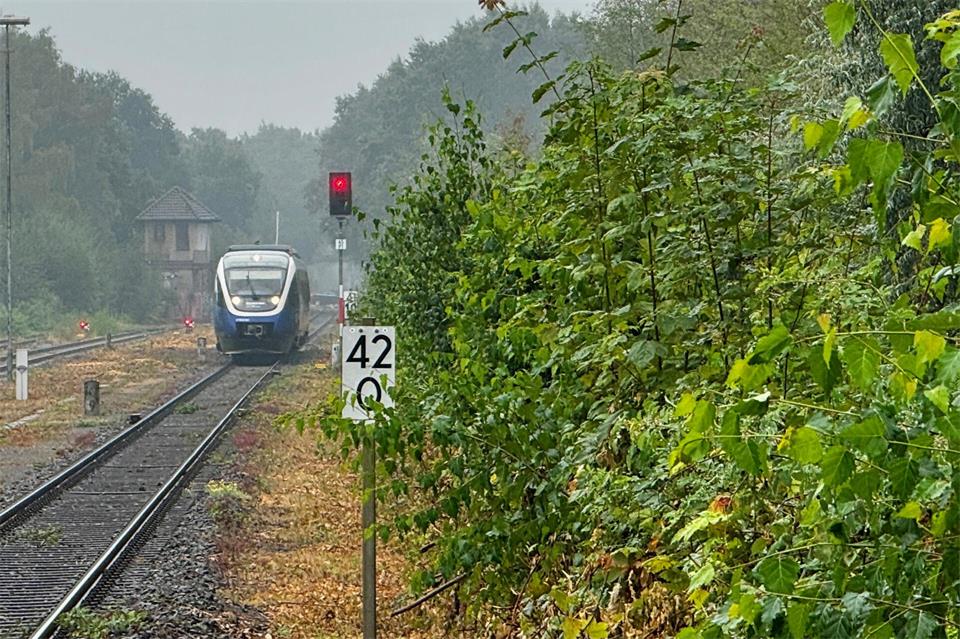 Bei mehr als jeder vierten Fahrt fehlte beim RE 14 im Juli ein Zugteil. 18 Prozent der Fahrten fielen komplett aus.