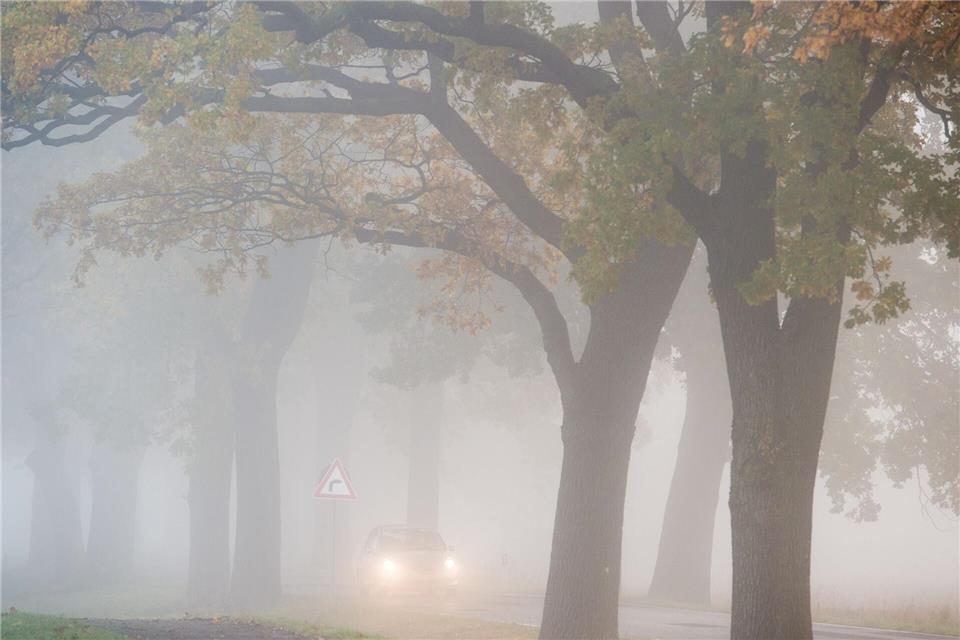 Bei plötzlich auftauchendem Nebel sollten Fahrer Tempo rausnehmen und den Abstand zum Vordermann vergrößern.picture alliance/dpa/dpa-Zentralbild