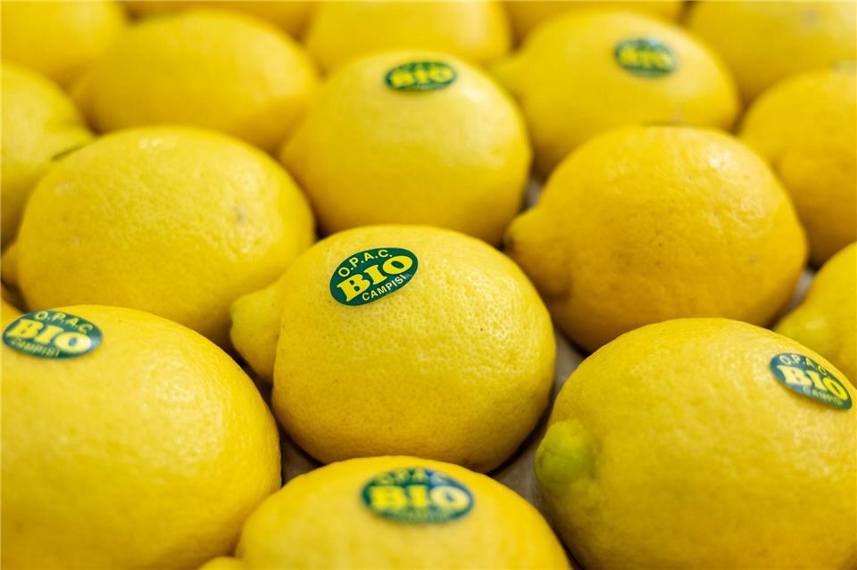 Bei vielen Verbrauchern sind Bio-Lebensmittel beliebt. (Symbolbild)Daniel Karmann/dpa