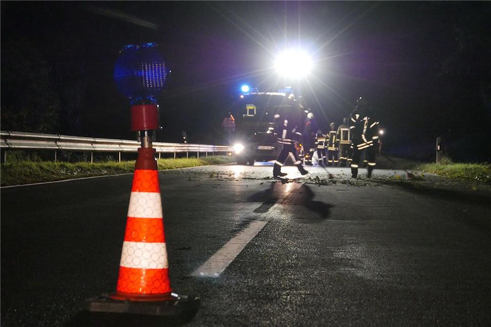Beide Autofahrer werden verletzt, zwei Rinder sterben. (Symbolbild)Kay-Helge Hercher/dpa