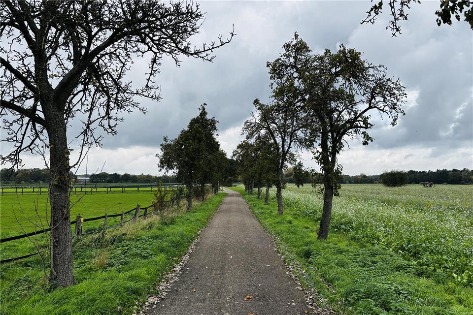 Stadt Borken forciert Planung für neues Gewerbegebiet Beidseits des Wirtschaftswegs Flachsbahn im Borkener Westen soll Borkens nächstes Gewerbegebiet entstehen.