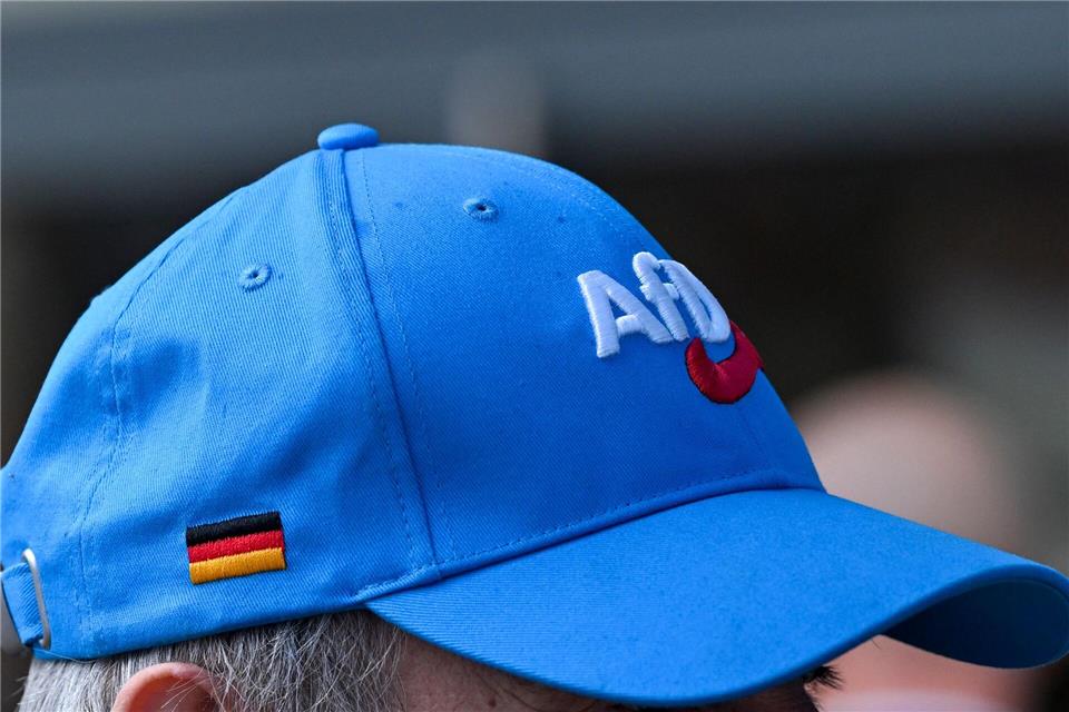 Beim AfD-Landesparteitag in Brandenburg wählten die Mitglieder einen neuen Landesvorstand.Jens Kalaene/dpa