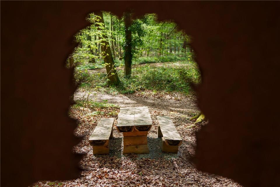 Beim Aufenthalt im Wald gilt für Wanderer, Jogger und Biker auch Eigenverantwortung. Andreas Arnold/dpa