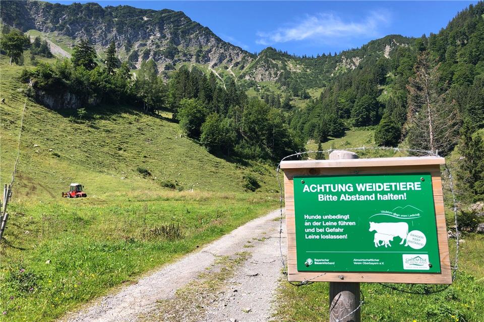 Beim Betreten von Weidegebiet ist Vorsicht geboten. (Symbolbild)Roland Freund/dpa