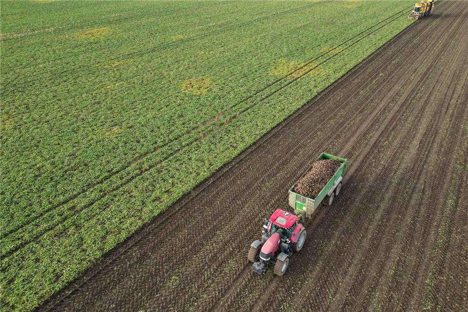 Beim Bürokratieabbau für Landwirte führt der Weg laut Agrarstaatssekretär Malsch vor allem über Berlin und Brüssel. (Archivbild)Jan Woitas/dpa
