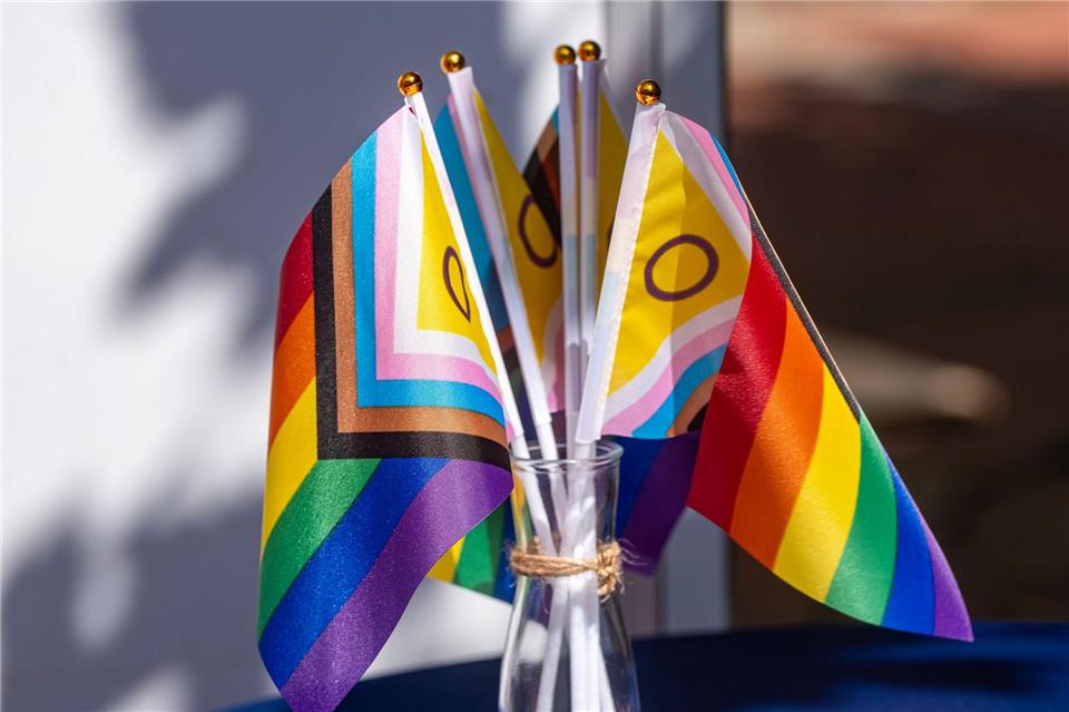 Beim CSD in Freiberg kam es laut Polizei zu einzelnen Störungen. (Symbolbild)Arnulf Stoffel/dpa