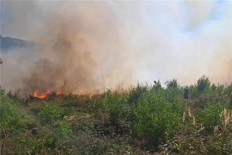 Beim Eintreffen der Feuerwehr habe ein großes Gebiet bereits in Flammen gestanden, berichtete ein Sprecher der Feuerwehr. -/Feuerwehr Sundern/dpa