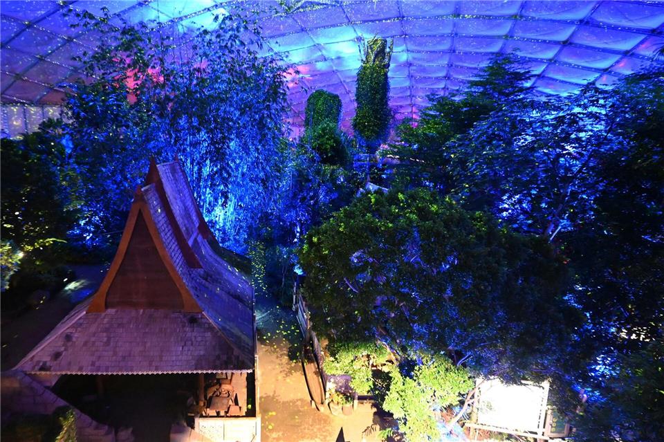 Beim „Magischen Tropenleuchten“ wird das Tropenhaus Gondwanaland im Leipziger Zoo in verschiedenen Farben beleuchtet.David Hammersen/dpa