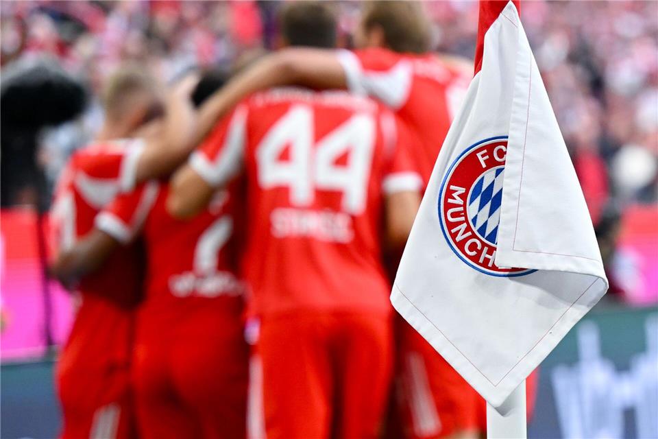 Beim Spiel zwischen dem FC Bayern und dem Hamburger SV gab es in der zweiten Hälfte zwei Notfälle unter Fans.Sven Hoppe/dpa