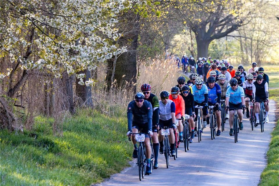 Beim Spreewald-Marathon absolvieren Radfahrer eine 150 Kilometer-Tour - und das Wetter stimmte am Samstag.Frank Hammerschmidt/dpa