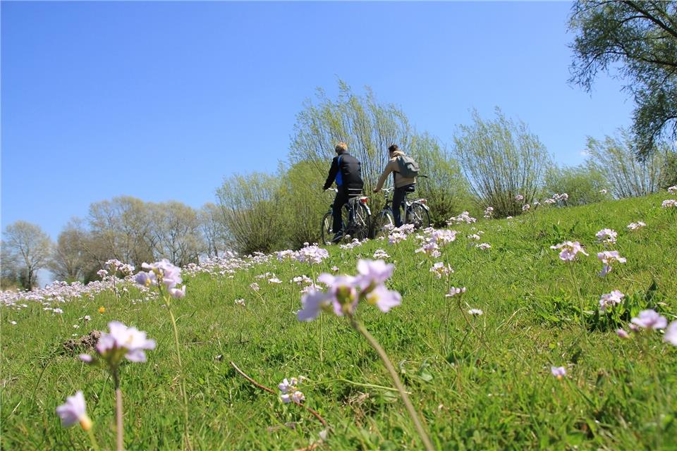 Beim Stadtradeln sollen auch die Raesfelder mitmachen.