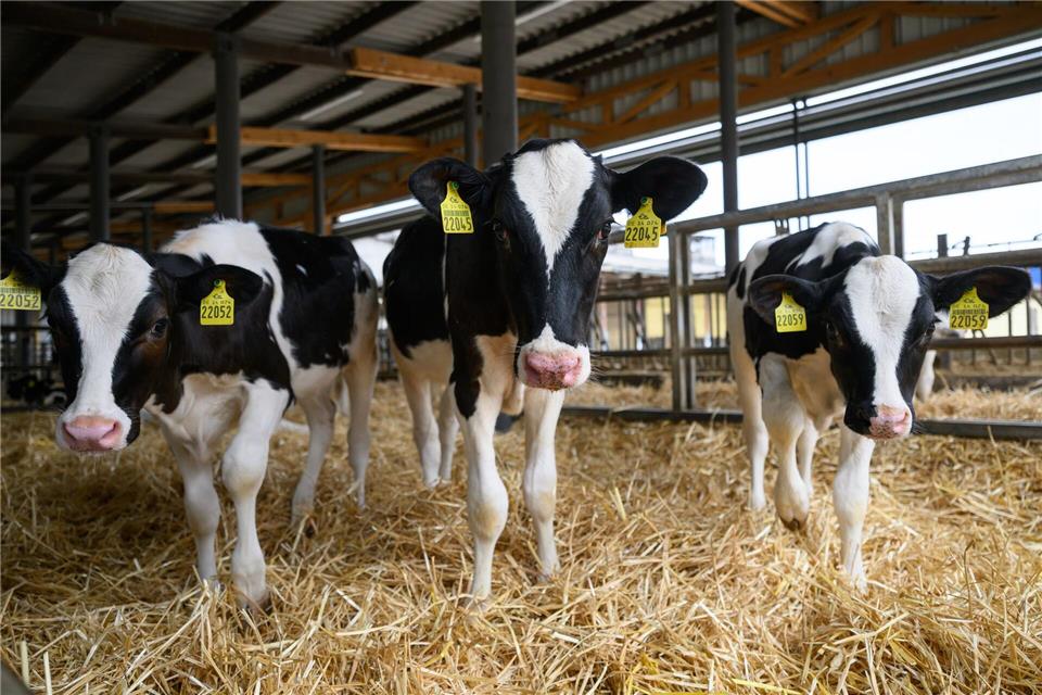Beim „Tag des offenen Hofes“ wollen Bauern vielerorts in Deutschland über ihre Arbeit informieren - auch über die Tierhaltung. Robert Michael/dpa