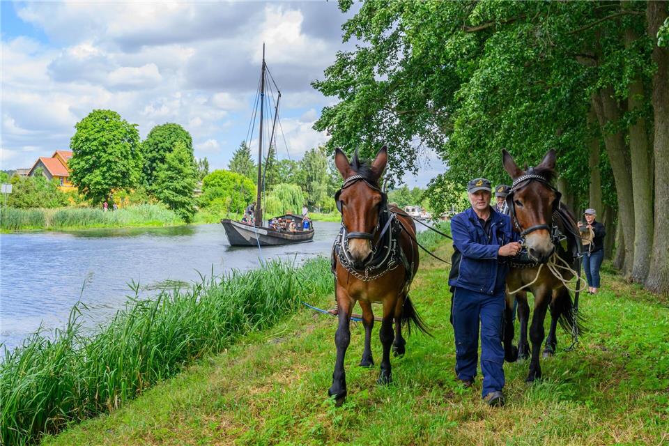 Beim Treidelfest können Besucher im nachgebauten Kaffenkahn „Concordia“ die historische Technik des Treidelns erleben. Patrick Pleul/dpa