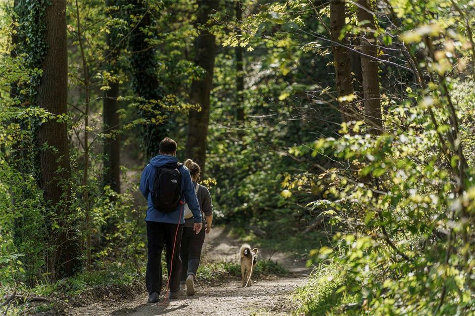 Beim Wandern im Herbst sollte man die Uhr im Blick haben - denn es wird früher dunkel. (Archivbild)Andreas Arnold/dpa