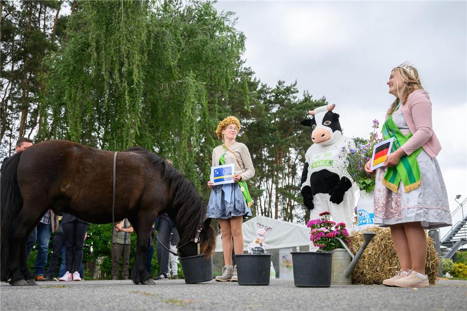 Beim bundesweiten Auftakt zum „Tag des offenen Hofes“ betätigt sich Pony Cäsar als WM-Orakel. Demnach wird die deutsche Nationalelf in ihrem Auftaktspiel am Sonntag gegen Curaçao verlieren. Wird Cäsar recht behalten?Robert Michael/dpa
