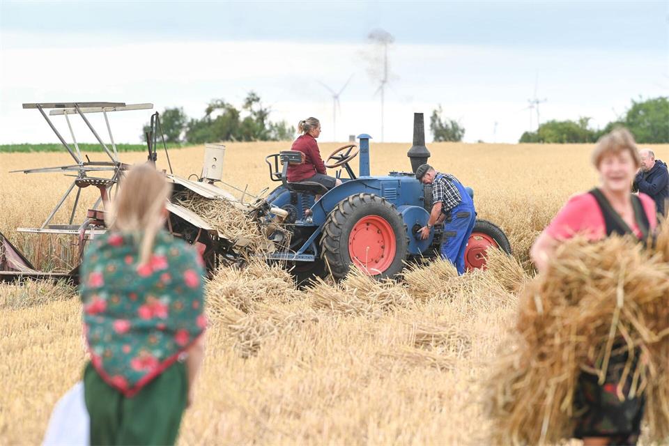 Beim historischen Erntefest ist unter anderem alte Technik zu sehen. (Archivbild) Heiko Rebsch/dpa