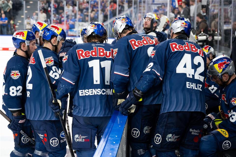 Bekommen künftig noch einen vierten Torhüter: Die Eishockey-Profis des EHC Red Bull München. (Archivfoto)Sven Hoppe/dpa