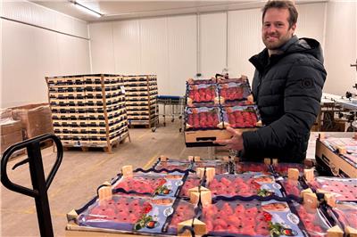 How Heiden strawberries end up in a Singapore supermarket
