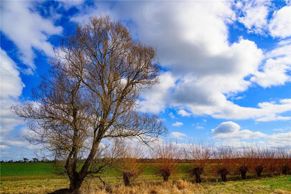 Bereits am Freitag ziehen die ersten Wolken auf. (Archivbild)Patrick Pleul/dpa