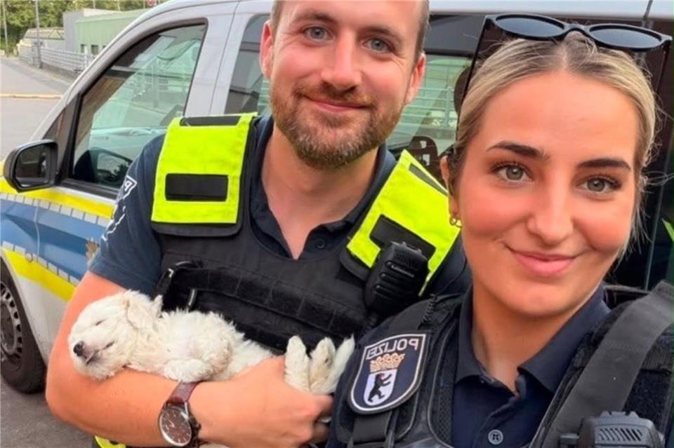 Berliner Polizisten haben am Kottbusser Tor einen jungen Hund in Sicherheit gebracht, der zu früh von seiner Mutter getrennt worden ist.Handout / Berlin/Polizei Berlin/dpa