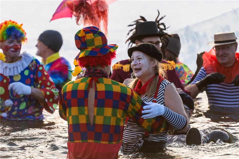 Berliner Seehunde gehen baden.Christophe Gateau/dpa