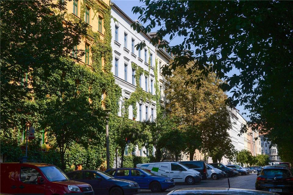 Berlins Bäume brauchen im Sommer Hilfe. (Symbolbild)Jens Kalaene/dpa-Zentralbild/dpa