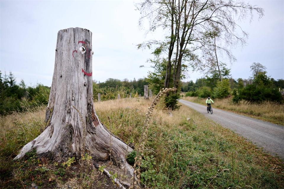 Besitzer angrenzender Waldflächen fürchten Einschränkungen für ihre Arbeit - etwa bei bislang geltenden Wegerechten.Bernd Thissen/dpa
