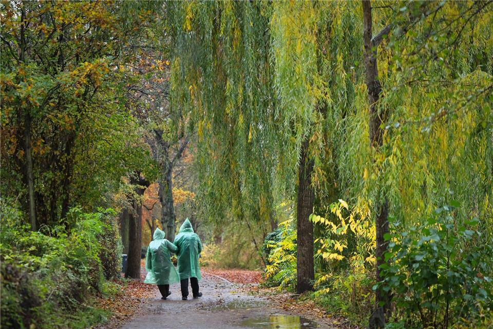 Besonders der Oktober war laut der DWD-Meteorolgen ein nasser und trüber Herbstabschnitt. (Symbolbild)Christian Charisius/dpa