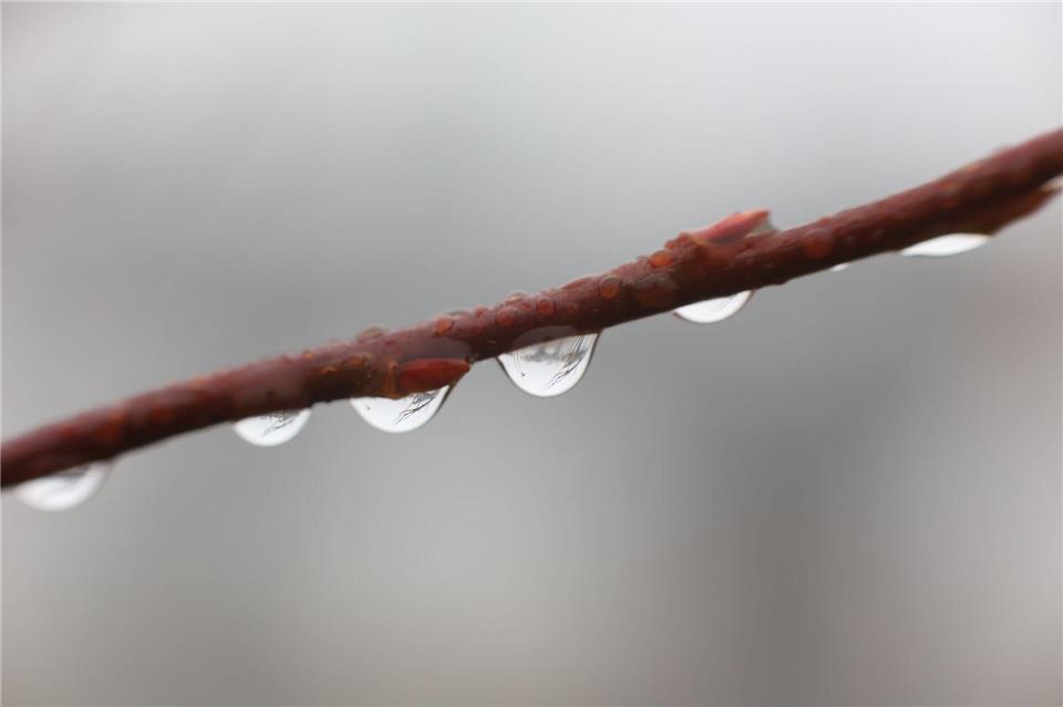 Besonders im Oberharz werden bis zum Wochenende glatte Straßen und eisige Nächte erwartet. (Symbolbild)Matthias Bein/dpa