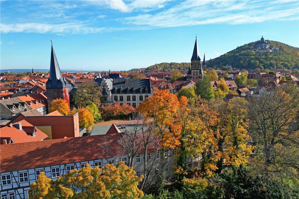 Besonders in größeren Städten haben Urlauber in Sachsen-Anhalt schon viel gebucht. (Archivbild)Matthias Bein/dpa