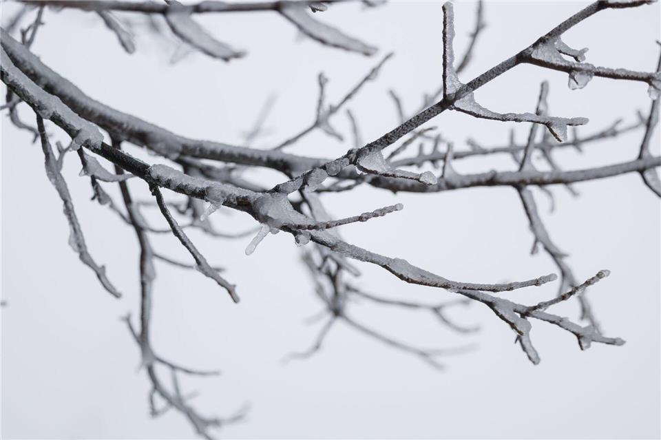 Besonders kalt war es in der vergangenen Nacht in Coschen. (Symbolbild)Hannes P. Albert/dpa