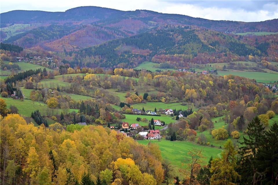Wald bedeckt ein Drittel von Thüringens Bodenfläche Besonders waldreich sind die Landkreise Schmalkalden-Meiningen, Saalfeld-Rudolstadt und der Wartburgkreis. (Symbolbild)Martin Schutt/dpa
