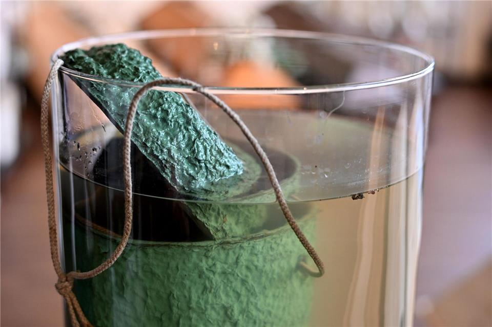 Bestatterin Grandjean hat noch keine Urne aus Zellulose gefunden, die sich schnell auflöst (Archivbild)Harald Tittel/dpa