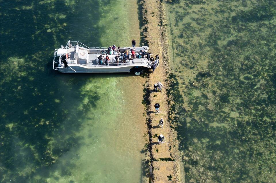 Besuch beim Leuchtturm: Je nach Wasserstand kommen die Bootsgäste an diesem Steinwall an.Andreas Drouve/dpa-tmn