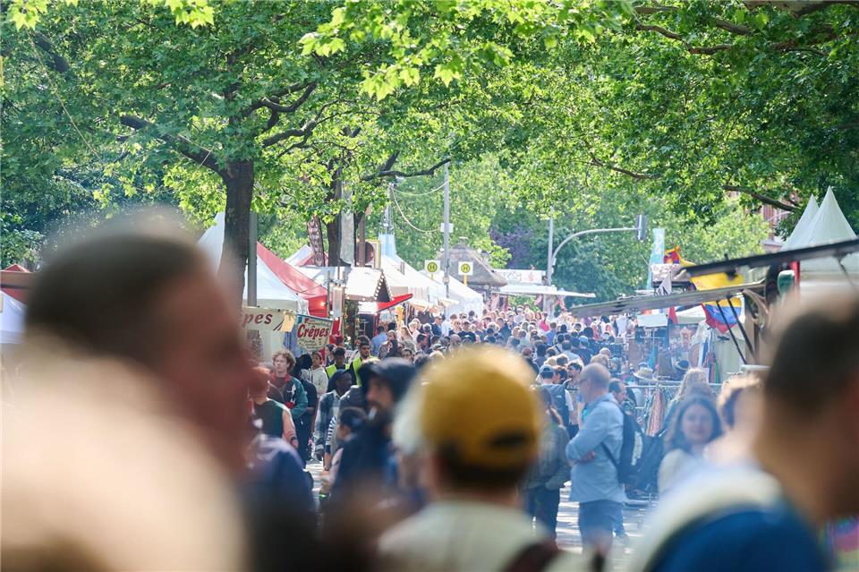 Besucher beim Straßenfest der Karneval der Kulturen. Annette Riedl/dpa