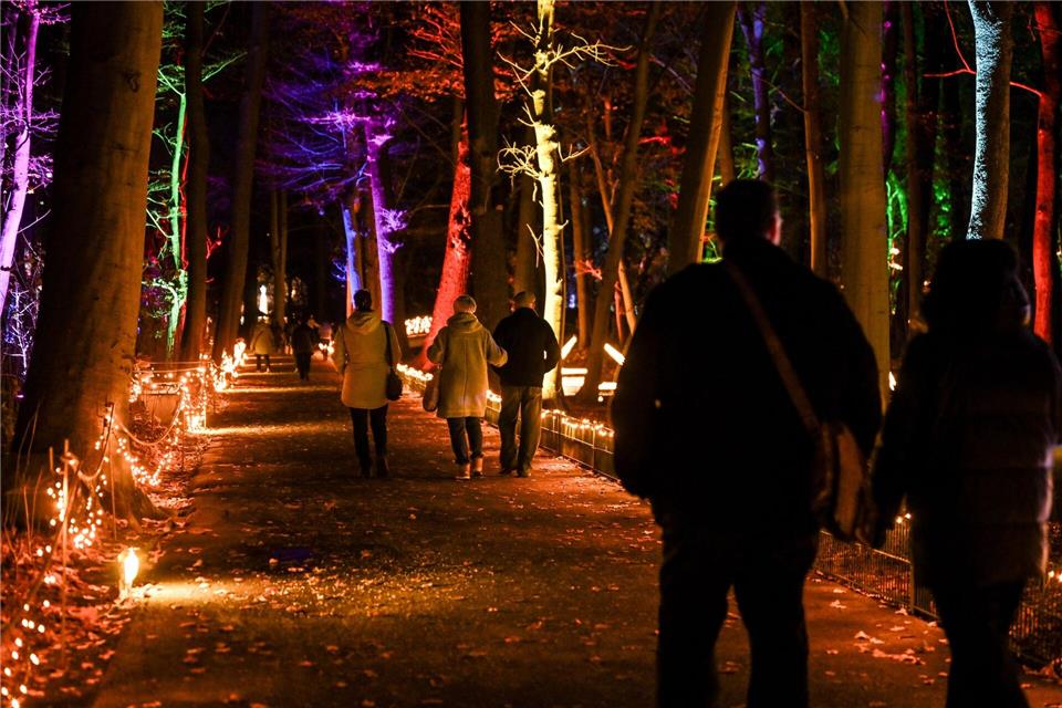 Besucher gehen bei der Eröffnung der Weihnachtslichter-Attraktion durch die beleuchteten Wege.Britta Pedersen/dpa