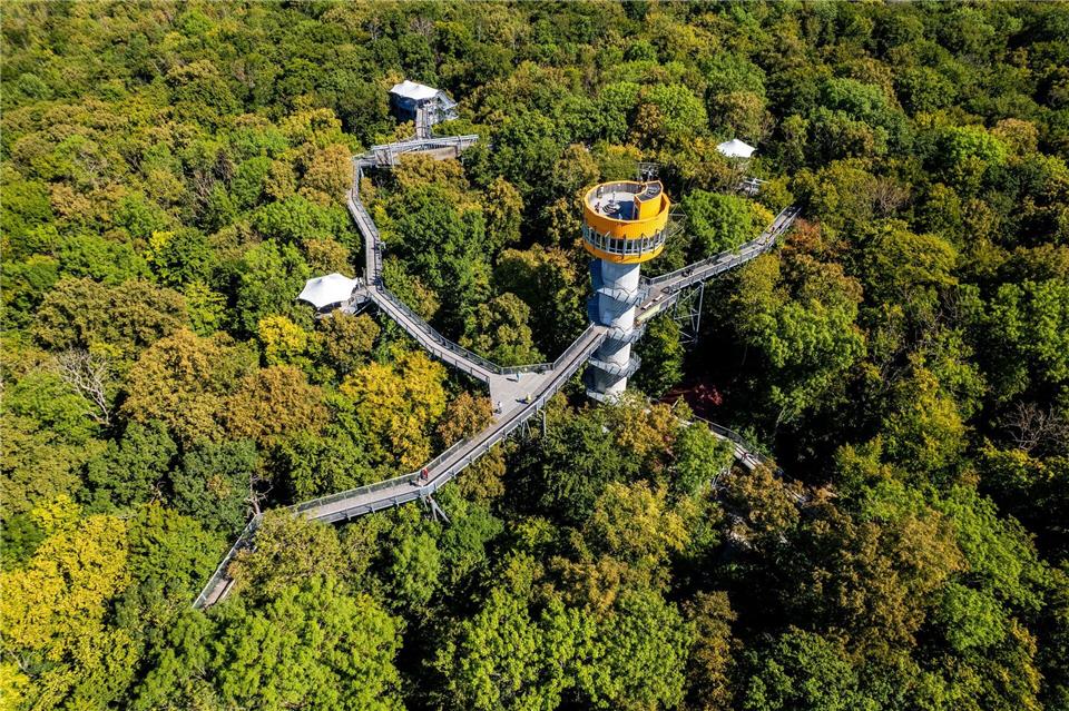 Besucher können entlang des 540 Meter langen Pfads durch die Baumwipfel im Nationalpark schlendern.Jacob Schröter/dpa