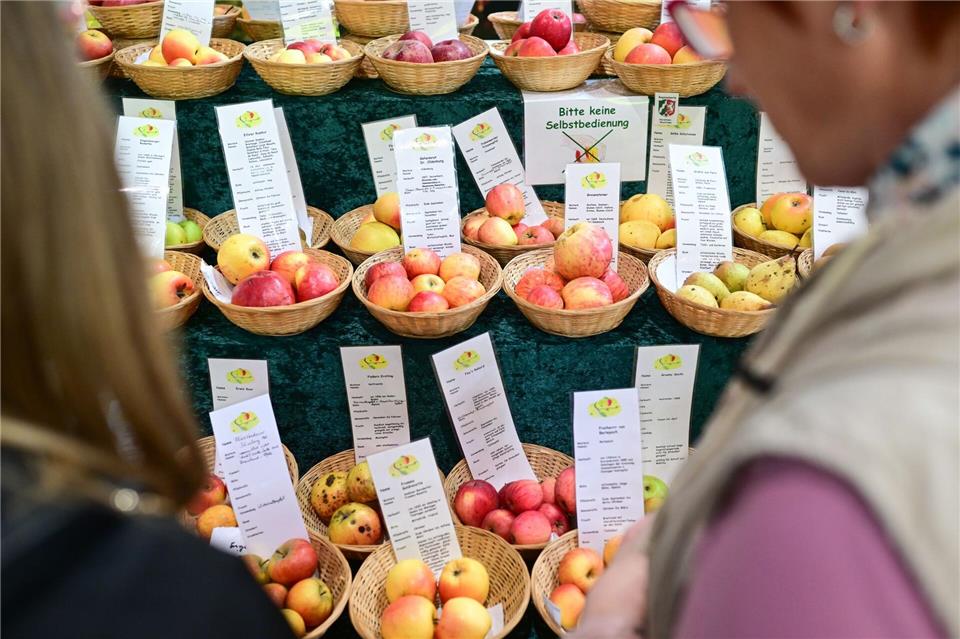 Besucher können sich über Lebensmittel informieren.Sebastian Christoph Gollnow/dpa